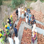 Project gallery image 6