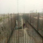 Project gallery image 15